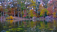 fall mattawoman creek- lily pads & trees
