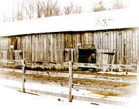 Horse Barn near Bushwood
