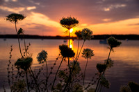 St. Mary's River Sunset & Wildflowers